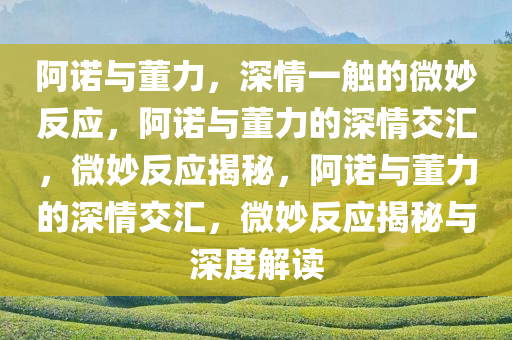 2025年3月8日 第69页