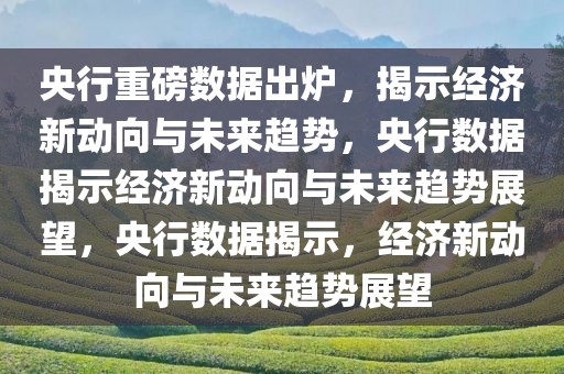 央行重磅数据出炉，揭示经济新动向与未来趋势，央行数据揭示经济新动向与未来趋势展望，央行数据揭示，经济新动向与未来趋势展望