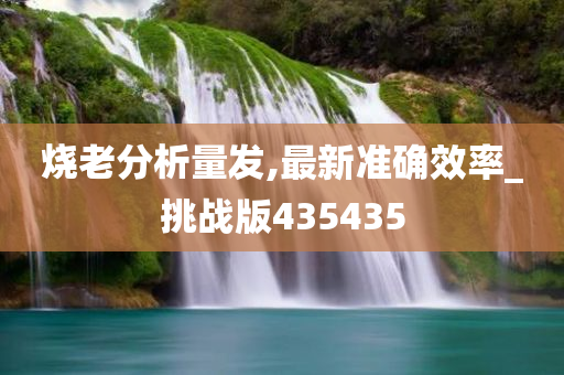 烧老分析量发,最新准确效率_挑战版435435