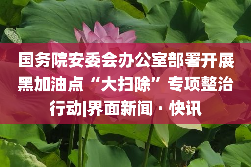 查找拖鞋的情,解全戏义总地研_慷慨解囊版EE533