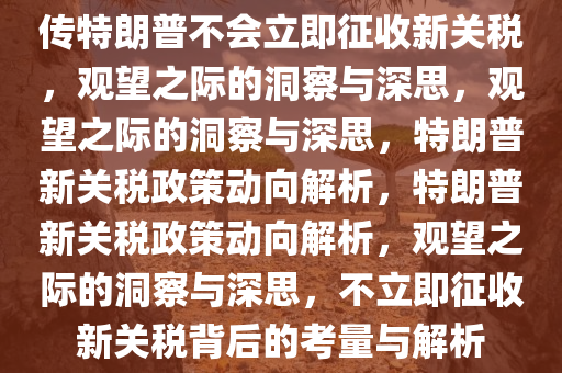 传特朗普不会立即征收新关税，观望之际的洞察与深思，观望之际的洞察与深思，特朗普新关税政策动向解析，特朗普新关税政策动向解析，观望之际的洞察与深思，不立即征收新关税背后的考量与解析