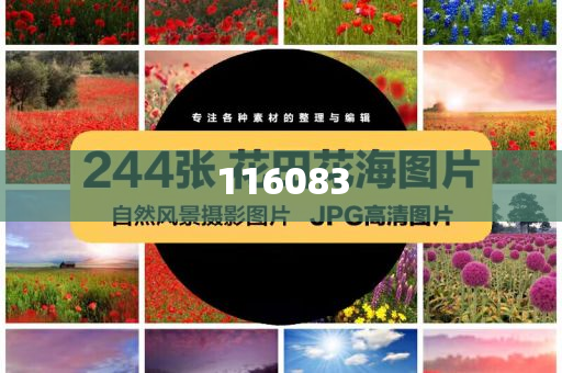 鬼谷子聚集全网资料，深度解读智慧之源，鬼谷子智慧之源深度解读，全网资料大集结，鬼谷子智慧之源深度解读，全网资料大集结与智慧启示