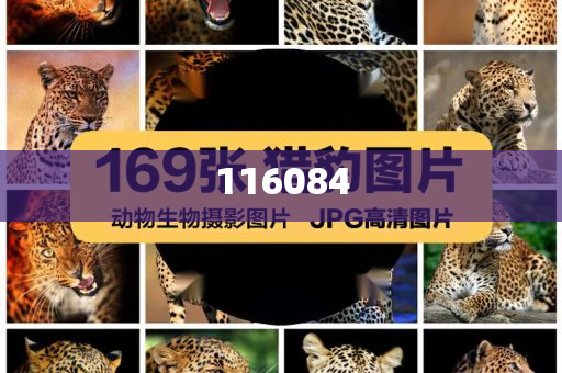 澳门生肖预测与未来展望——探寻2025年生肖奥秘，澳门生肖预测与未来展望，探寻2025年生肖奥秘展望未来发展前景，澳门生肖预测与未来展望，探寻生肖奥秘，展望澳门未来发展前景至2025年