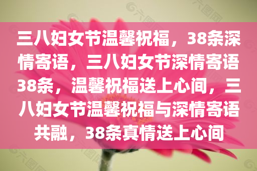 三八妇女节温馨祝福，38条深情寄语，三八妇女节深情寄语38条，温馨祝福送上心间，三八妇女节温馨祝福与深情寄语共融，38条真情送上心间