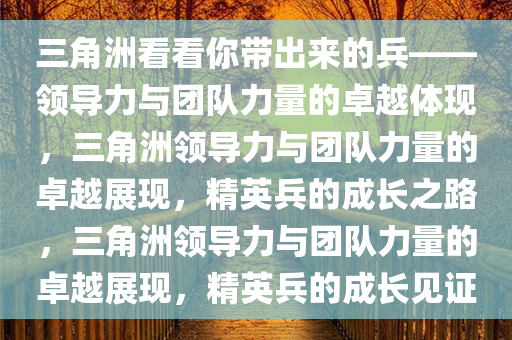 三角洲看看你带出来的兵——领导力与团队力量的卓越体现，三角洲领导力与团队力量的卓越展现，精英兵的成长之路，三角洲领导力与团队力量的卓越展现，精英兵的成长见证