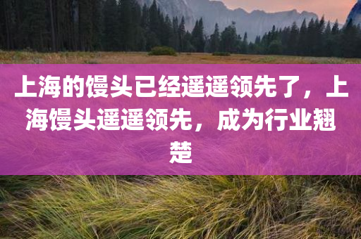 上海的馒头已经遥遥领先了，上海馒头遥遥领先，成为行业翘楚