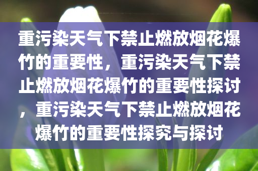 重污染天气下禁止燃放烟花爆竹的重要性，重污染天气下禁止燃放烟花爆竹的重要性探讨，重污染天气下禁止燃放烟花爆竹的重要性探究与探讨