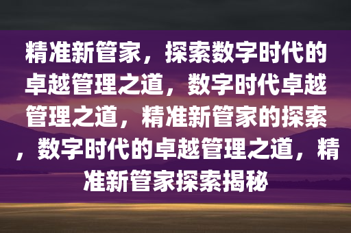 精准新管家，探索数字时代的卓越管理之道，数字时代卓越管理之道，精准新管家的探索，数字时代的卓越管理之道，精准新管家探索揭秘