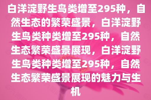 白洋淀野生鸟类增至295种，自然生态的繁荣盛景，白洋淀野生鸟类种类增至295种，自然生态繁荣盛景展现，白洋淀野生鸟类种类增至295种，自然生态繁荣盛景展现的魅力与生机