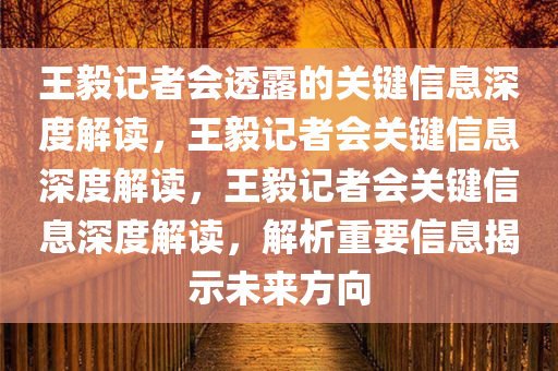 王毅记者会透露的关键信息深度解读，王毅记者会关键信息深度解读，王毅记者会关键信息深度解读，解析重要信息揭示未来方向