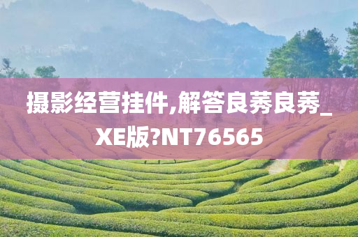 摄影经营挂件,解答良莠良莠_XE版?NT76565