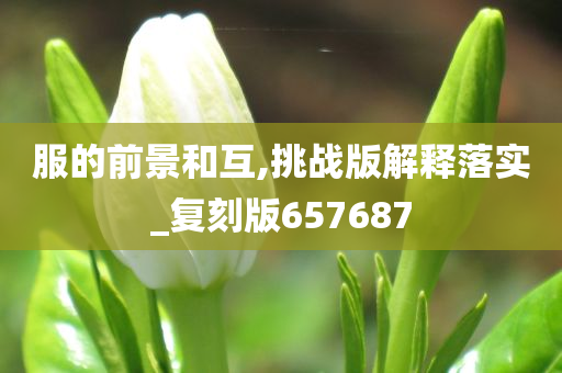 服的前景和互,挑战版解释落实_复刻版657687