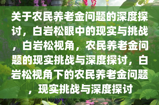 关于农民养老金问题的深度探讨，白岩松眼中的现实与挑战，白岩松视角，农民养老金问题的现实挑战与深度探讨，白岩松视角下的农民养老金问题，现实挑战与深度探讨