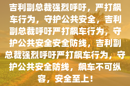 吉利副总裁强烈呼吁，严打飙车行为，守护公共安全，吉利副总裁呼吁严打飙车行为，守护公共安全安全防线，吉利副总裁强烈呼吁严打飙车行为，守护公共安全防线，飙车不可纵容，安全至上！