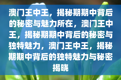 澳门王中王，揭秘期期中背后的秘密与魅力所在，澳门王中王，揭秘期期中背后的秘密与独特魅力，澳门王中王，揭秘期期中背后的独特魅力与秘密揭晓