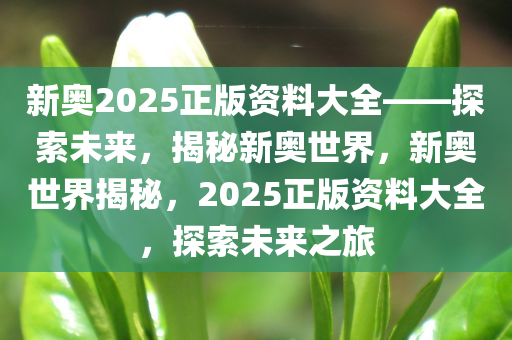 新奥2025正版资料大全——探索未来，揭秘新奥世界，新奥世界揭秘，2025正版资料大全，探索未来之旅