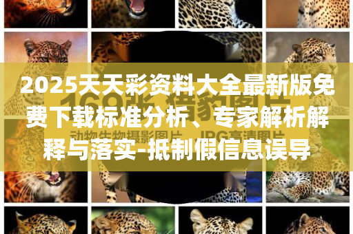 孵化英文8玩法,版新度选新最_DG版FF45