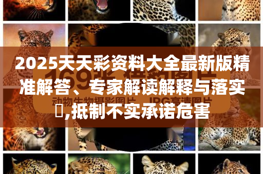 羽绒经营工智,解释_XBJY版?JMF56
