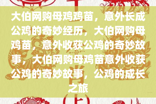 大伯网购母鸡鸡苗，意外长成公鸡的奇妙经历，大伯网购母鸡苗，意外收获公鸡的奇妙故事，大伯网购母鸡苗意外收获公鸡的奇妙故事，公鸡的成长之旅