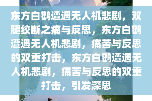 东方白鹳遭遇无人机悲剧，双腿绞断之痛与反思，东方白鹳遭遇无人机悲剧，痛苦与反思的双重打击，东方白鹳遭遇无人机悲剧，痛苦与反思的双重打击，引发深思
