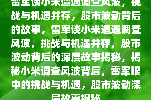 雷军谈小米遭遇调查风波，挑战与机遇并存，股市波动背后的故事，雷军谈小米遭遇调查风波，挑战与机遇并存，股市波动背后的深层故事揭秘，揭秘小米调查风波背后，雷军眼中的挑战与机遇，股市波动深层故事揭秘