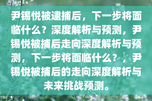 尹锡悦被逮捕后，下一步将面临什么？深度解析与预测，尹锡悦被捕后走向深度解析与预测，下一步将面临什么？，尹锡悦被捕后的走向深度解析与未来挑战预测。