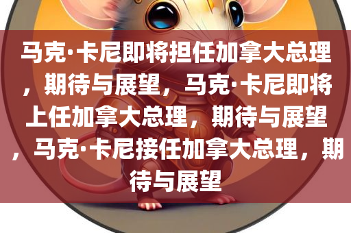 马克·卡尼即将担任加拿大总理，期待与展望，马克·卡尼即将上任加拿大总理，期待与展望，马克·卡尼接任加拿大总理，期待与展望