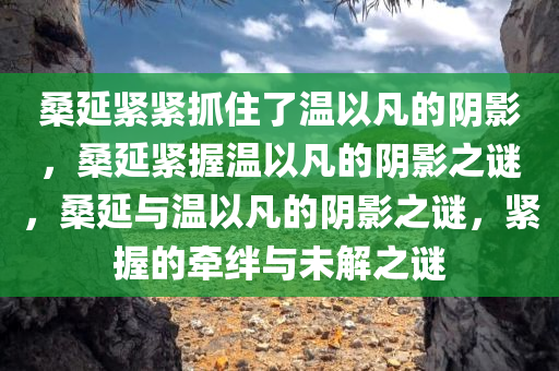 桑延紧紧抓住了温以凡的阴影，桑延紧握温以凡的阴影之谜，桑延与温以凡的阴影之谜，紧握的牵绊与未解之谜