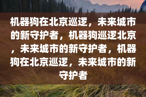 机器狗在北京巡逻，未来城市的新守护者，机器狗巡逻北京，未来城市的新守护者，机器狗在北京巡逻，未来城市的新守护者