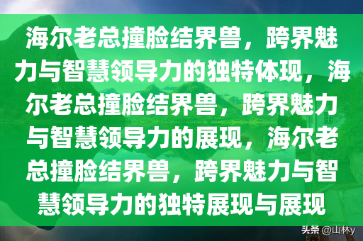海尔老总撞脸结界兽，跨界魅力与智慧领导力的独特体现，海尔老总撞脸结界兽，跨界魅力与智慧领导力的展现，海尔老总撞脸结界兽，跨界魅力与智慧领导力的独特展现与展现