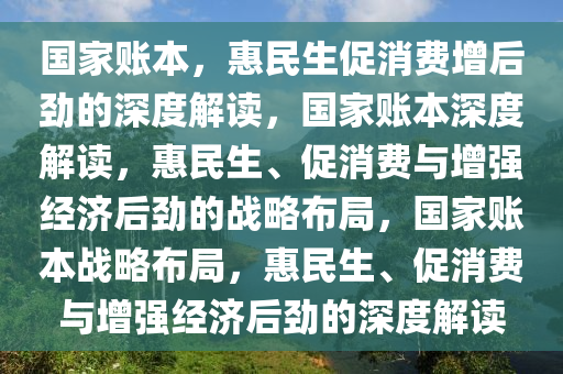 国家账本，惠民生促消费增后劲的深度解读，国家账本深度解读，惠民生、促消费与增强经济后劲的战略布局，国家账本战略布局，惠民生、促消费与增强经济后劲的深度解读