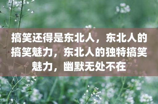 搞笑还得是东北人，东北人的搞笑魅力，东北人的独特搞笑魅力，幽默无处不在