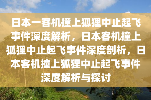 日本一客机撞上狐狸中止起飞事件深度解析，日本客机撞上狐狸中止起飞事件深度剖析，日本客机撞上狐狸中止起飞事件深度解析与探讨