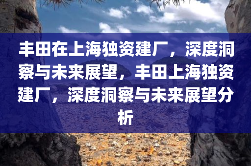 丰田在上海独资建厂，深度洞察与未来展望，丰田上海独资建厂，深度洞察与未来展望分析