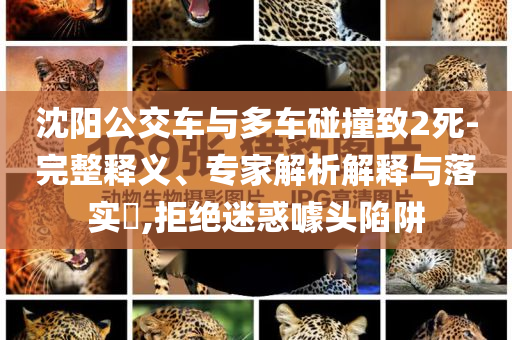 2024新澳门开奖结果查询直播，澳门直播开奖结果查询，最新消息与预测分析