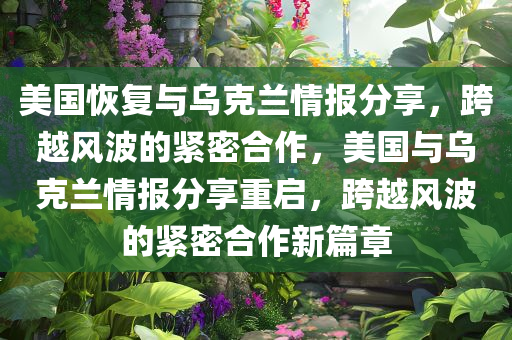 美国恢复与乌克兰情报分享，跨越风波的紧密合作，美国与乌克兰情报分享重启，跨越风波的紧密合作新篇章