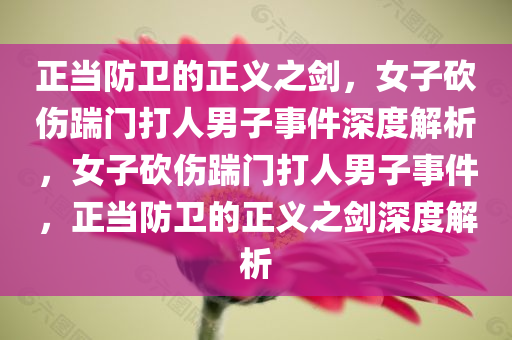 正当防卫的正义之剑，女子砍伤踹门打人男子事件深度解析，女子砍伤踹门打人男子事件，正当防卫的正义之剑深度解析