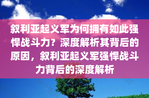 叙利亚起义军为何拥有如此强悍战斗力？深度解析其背后的原因，叙利亚起义军强悍战斗力背后的深度解析