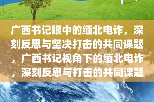 广西书记眼中的缅北电诈，深刻反思与坚决打击的共同课题，广西书记视角下的缅北电诈，深刻反思与打击的共同课题