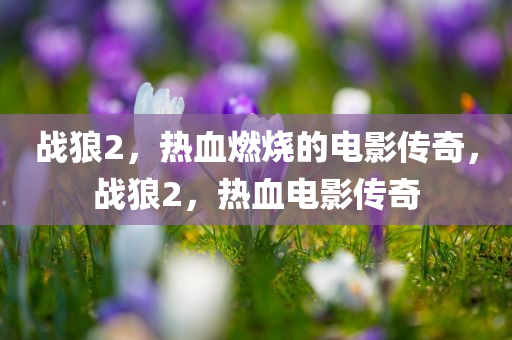 战狼2，热血燃烧的电影传奇，战狼2，热血电影传奇