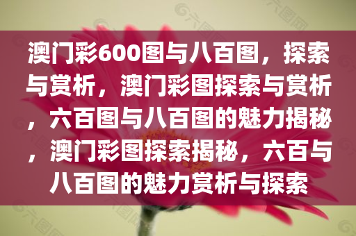 澳门彩600图与八百图，探索与赏析，澳门彩图探索与赏析，六百图与八百图的魅力揭秘，澳门彩图探索揭秘，六百与八百图的魅力赏析与探索