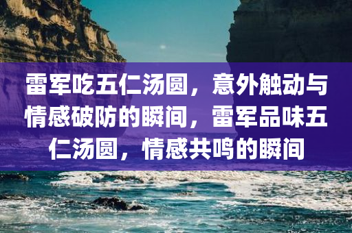 雷军吃五仁汤圆，意外触动与情感破防的瞬间，雷军品味五仁汤圆，情感共鸣的瞬间