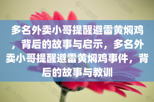 多名外卖小哥提醒避雷黄焖鸡，背后的故事与启示，多名外卖小哥提醒避雷黄焖鸡事件，背后的故事与教训