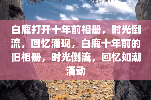 白鹿打开十年前相册，时光倒流，回忆涌现，白鹿十年前的旧相册，时光倒流，回忆如潮涌动