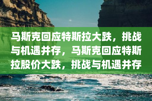 马斯克回应特斯拉大跌，挑战与机遇并存，马斯克回应特斯拉股价大跌，挑战与机遇并存
