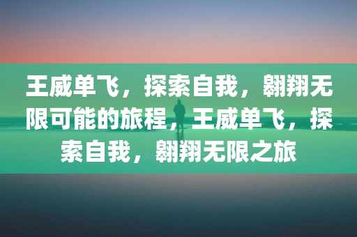 王威单飞，探索自我，翱翔无限可能的旅程，王威单飞，探索自我，翱翔无限之旅