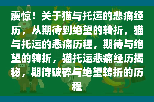 震惊！关于猫与托运的悲痛经历，从期待到绝望的转折，猫与托运的悲痛历程，期待与绝望的转折，猫托运悲痛经历揭秘，期待破碎与绝望转折的历程