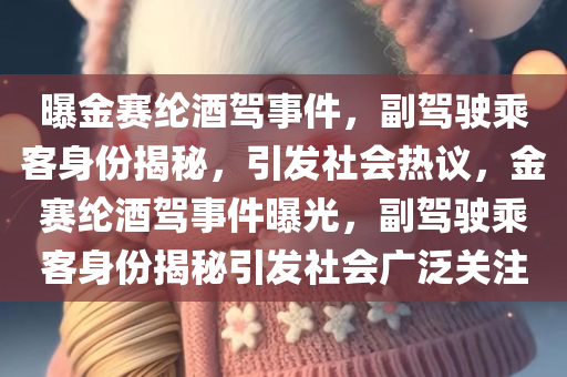 曝金赛纶酒驾事件，副驾驶乘客身份揭秘，引发社会热议，金赛纶酒驾事件曝光，副驾驶乘客身份揭秘引发社会广泛关注