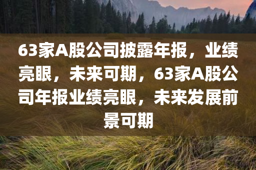 63家A股公司披露年报，业绩亮眼，未来可期，63家A股公司年报业绩亮眼，未来发展前景可期