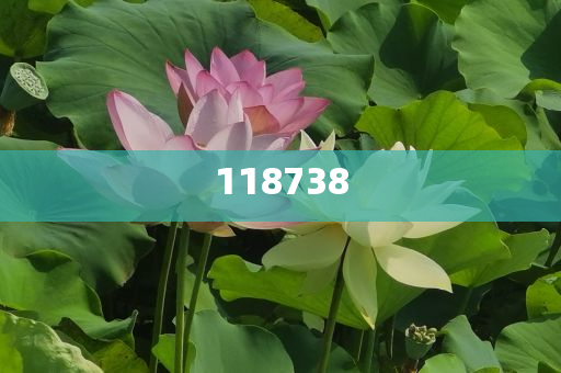 小米回应SU7刹车异常问题，坚守安全底线，保障用户权益，小米回应SU7刹车异常问题，坚守安全底线，全力保障用户权益，小米回应SU7刹车异常问题，坚守安全底线，全力保障用户权益安全承诺不变